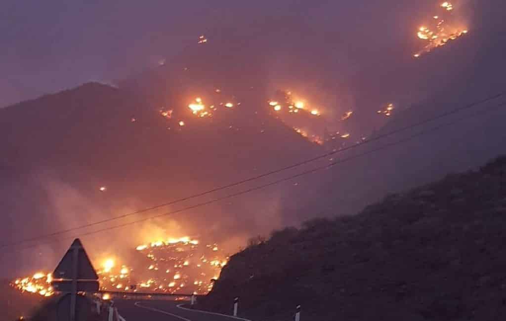 Inwoners geëvacueerd vanwege bosbrand op Gran Canaria