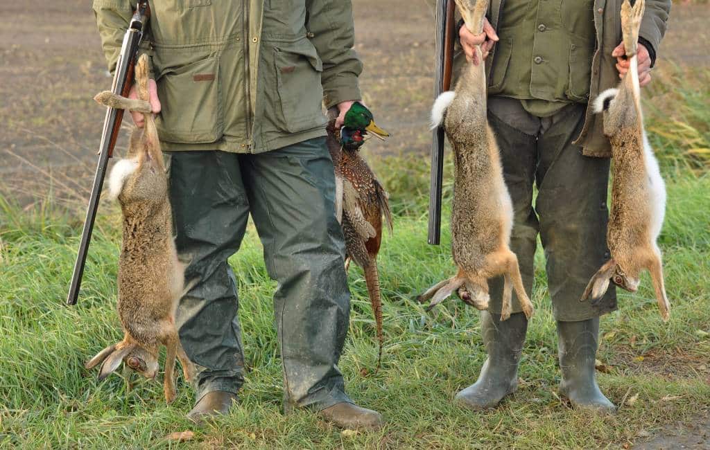 Jagers komen massaal naar Aragón vanwege 70 eurocent per dood konijn