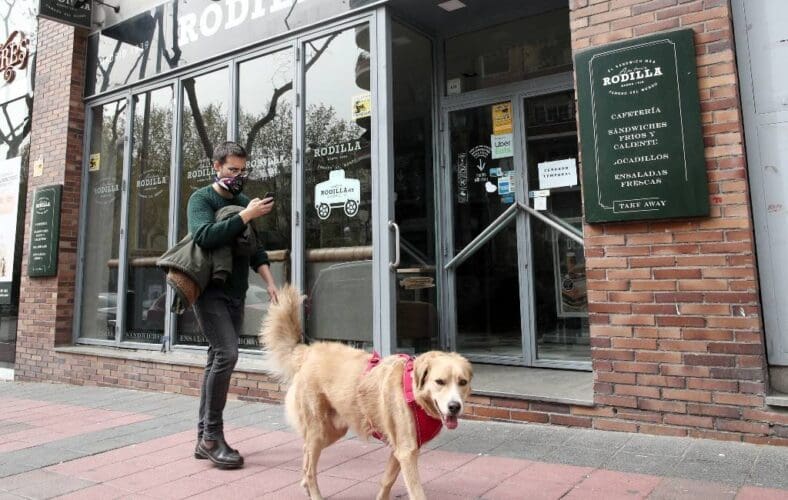 Kat in quarantaine of honden desinfecteren vanwege coronavirus?