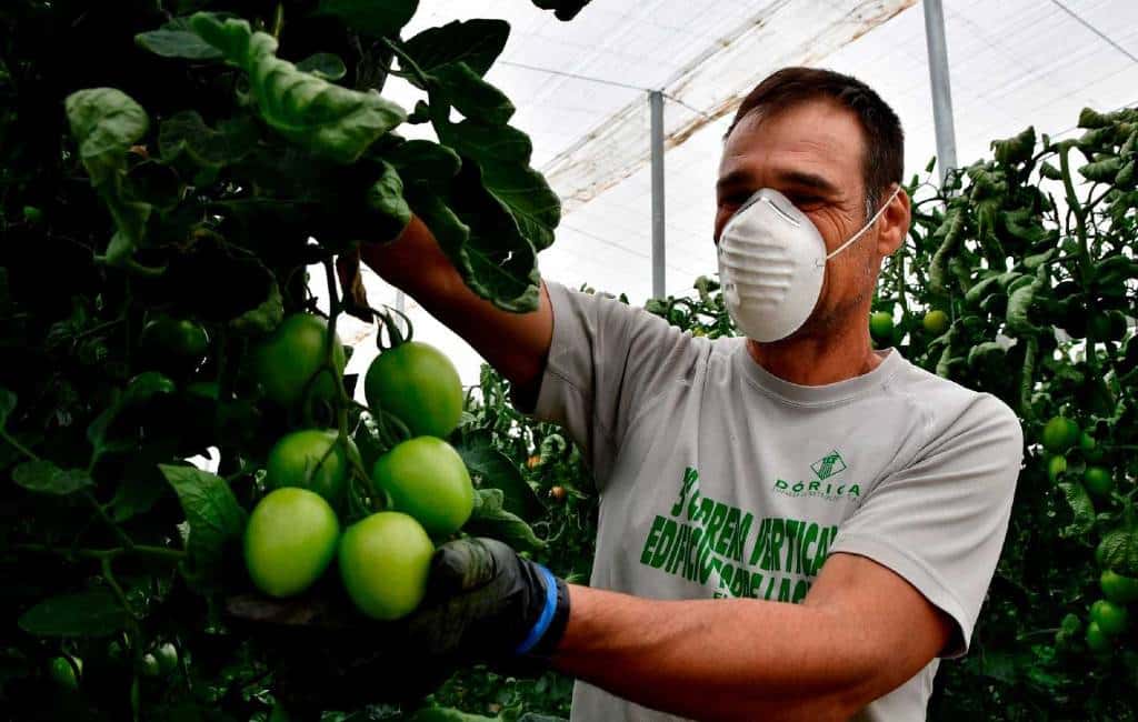 Met behoud van ww-uitkering fruit plukken in Spanje