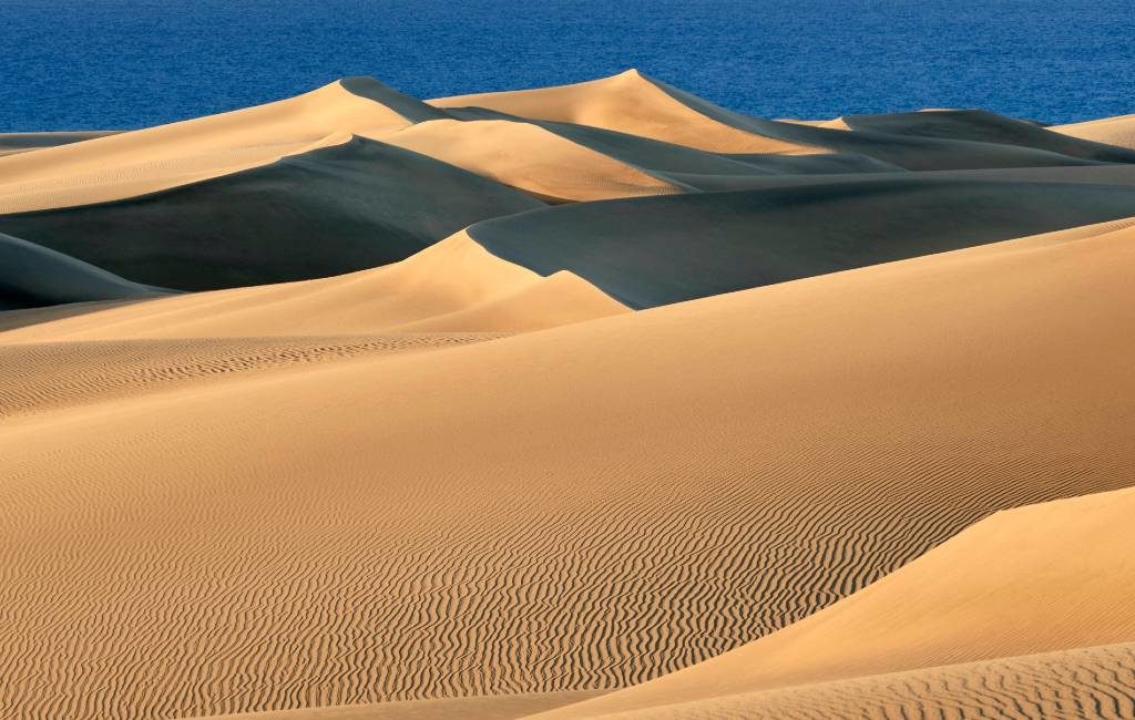 De duinen van Maspalomas op Gran Canaria zien er geweldig uit