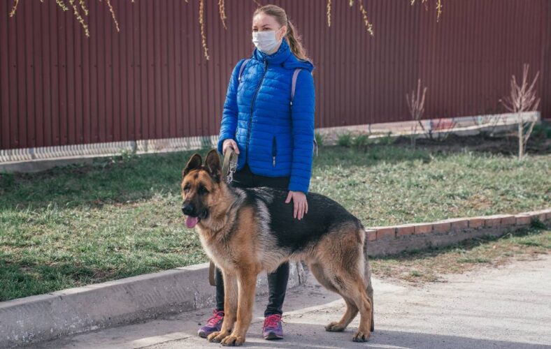Mag je na 23 uur met de hond wandelen tijdens de avondklok in Spanje?
