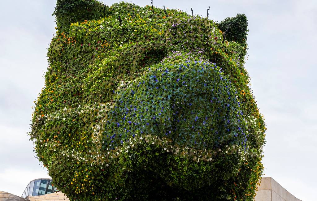 De Puppy van het Guggenheim in Bilbao Krijgt mondkapje van bloemen