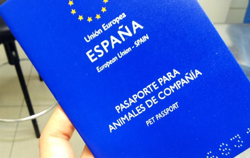 Identiteitsbewijs voor huisdieren in de maak in Spanje