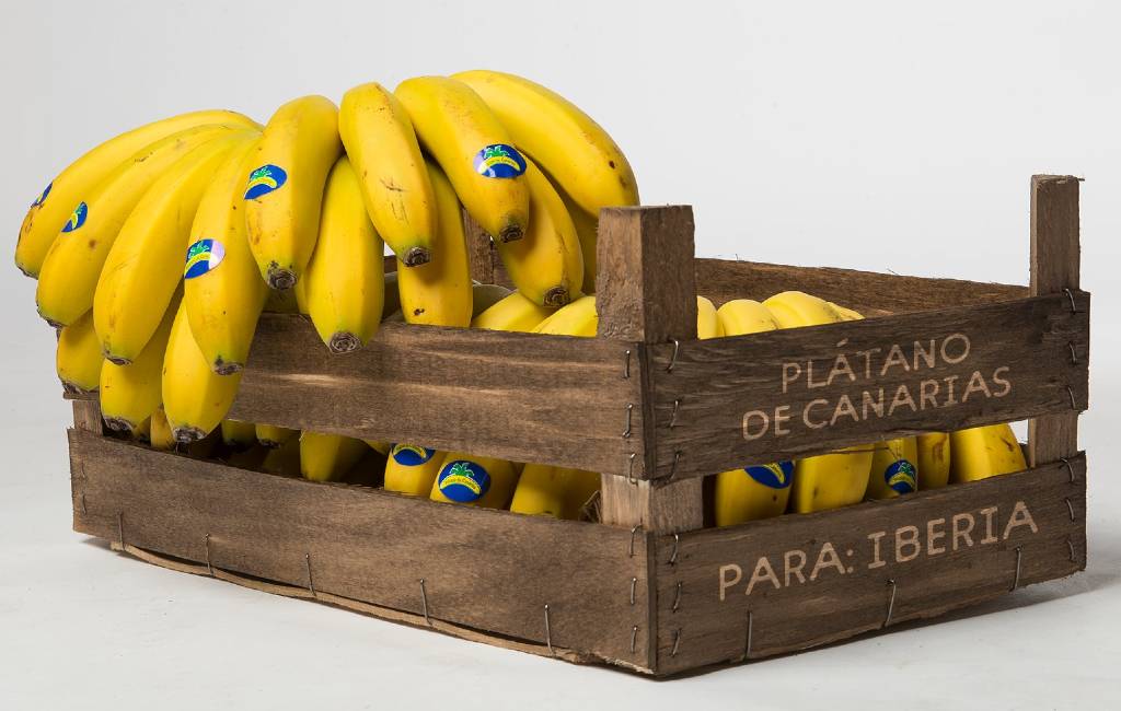 Levenslang gratis Canarische bananen voor YouTubers die Andorra verlaten
