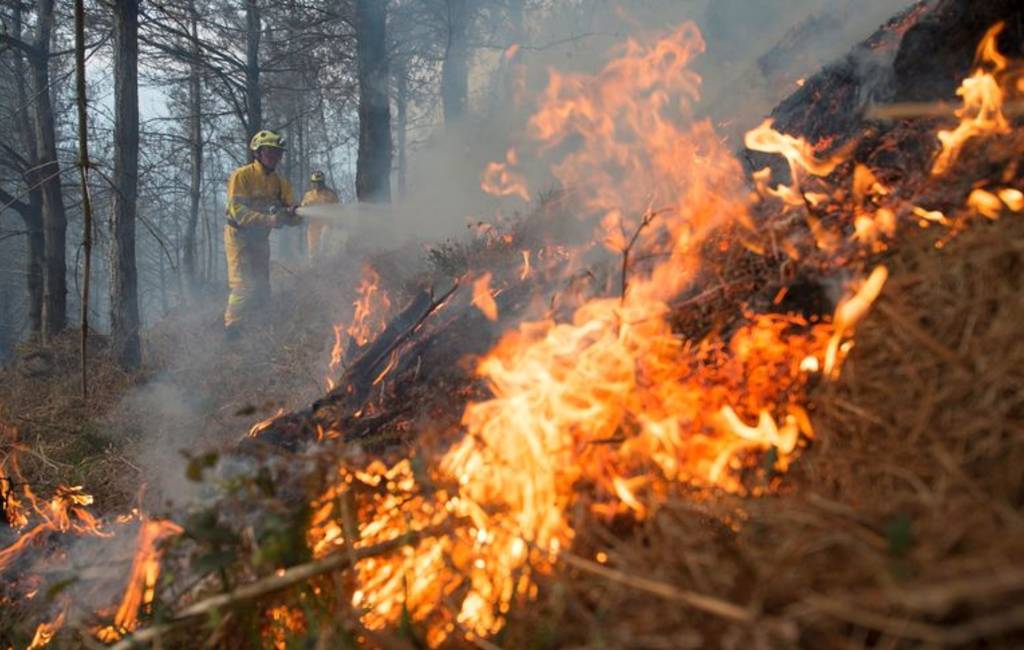 21 actieve natuur- en bosbranden in Cantabrië maar alweer 423 branden dit jaar