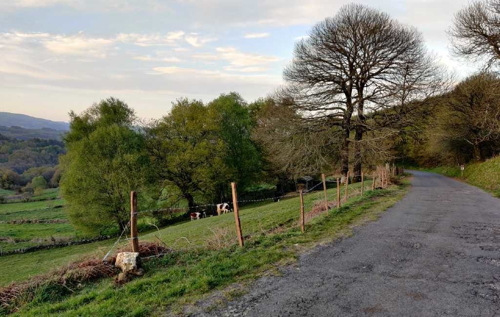 Emigratieverhaal Spanje: Een nieuw avontuur in Galicië (5)