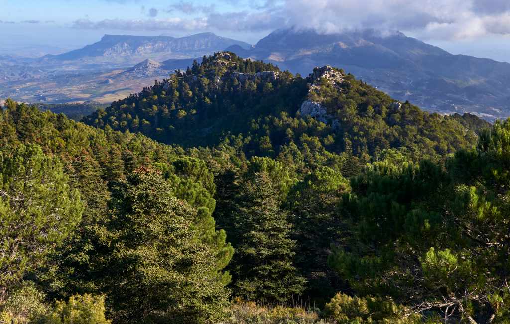 Sierra de las Nieves in de provincie Málaga is zestiende Nationale natuurpark