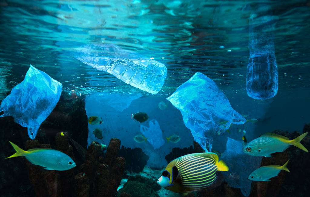De Wereld Oceanen Dag op 8 juni en het plastic in de Spaanse zeeën
