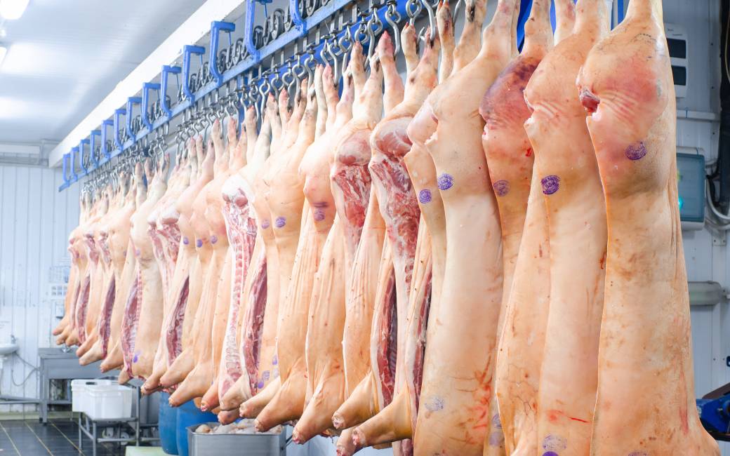 Spanje op Nederland na grootste vleesexporteur in de Europese Unie