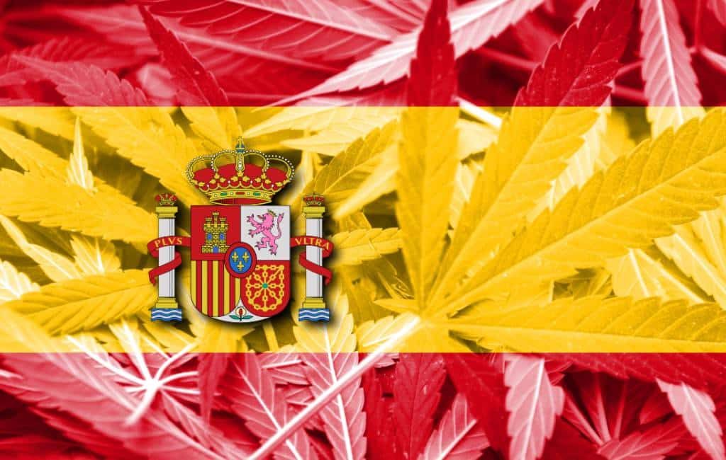 Congres debatteert over legalisatie van cannabis in Spanje
