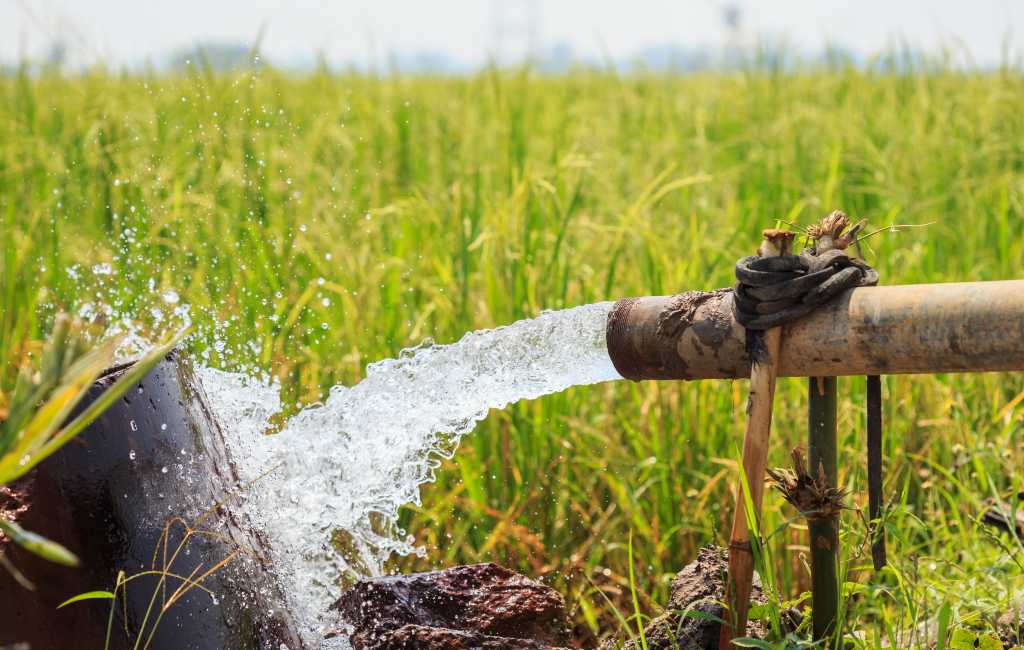 Illegale irrigatie landbouw neemt volgens het WWF buitenproportionele proporties aan in Spanje