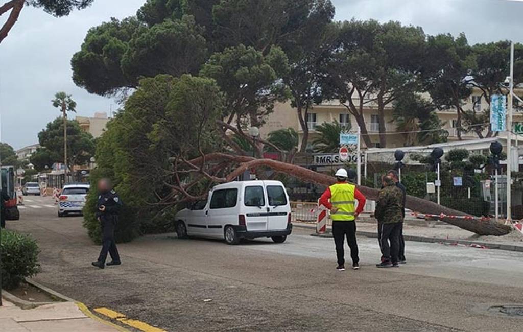 Balearen geteisterd door storm Blas met 12 meter hoge golven en 100 km/uur windvlagen