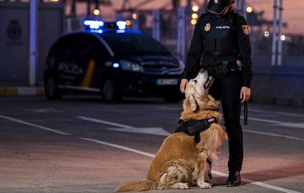 De politiehond is een bijzondere onderdeel van het korps in Aragón
