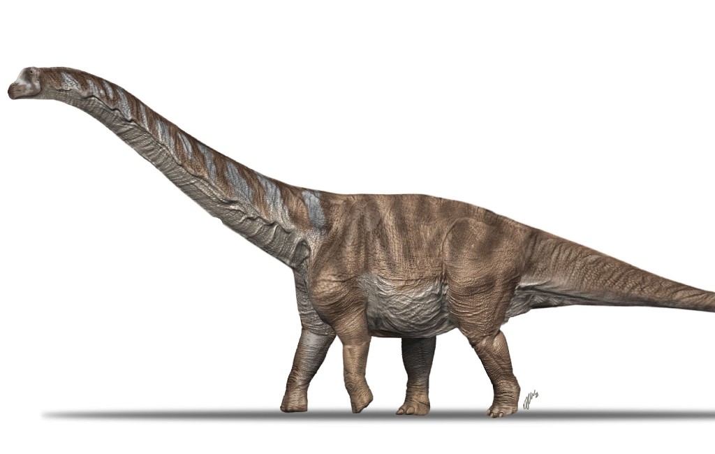 Nieuwe dinosaurussoort ontdekt in de Spaanse Pyreneeën