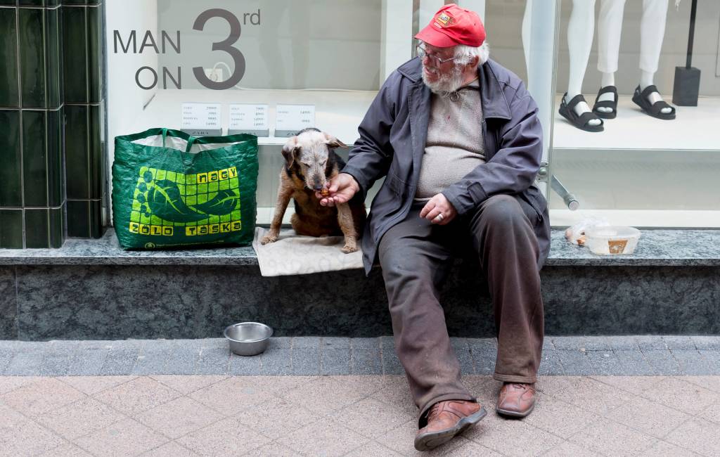 De hond is de beste vriend en grootste steun voor daklozen in Spanje