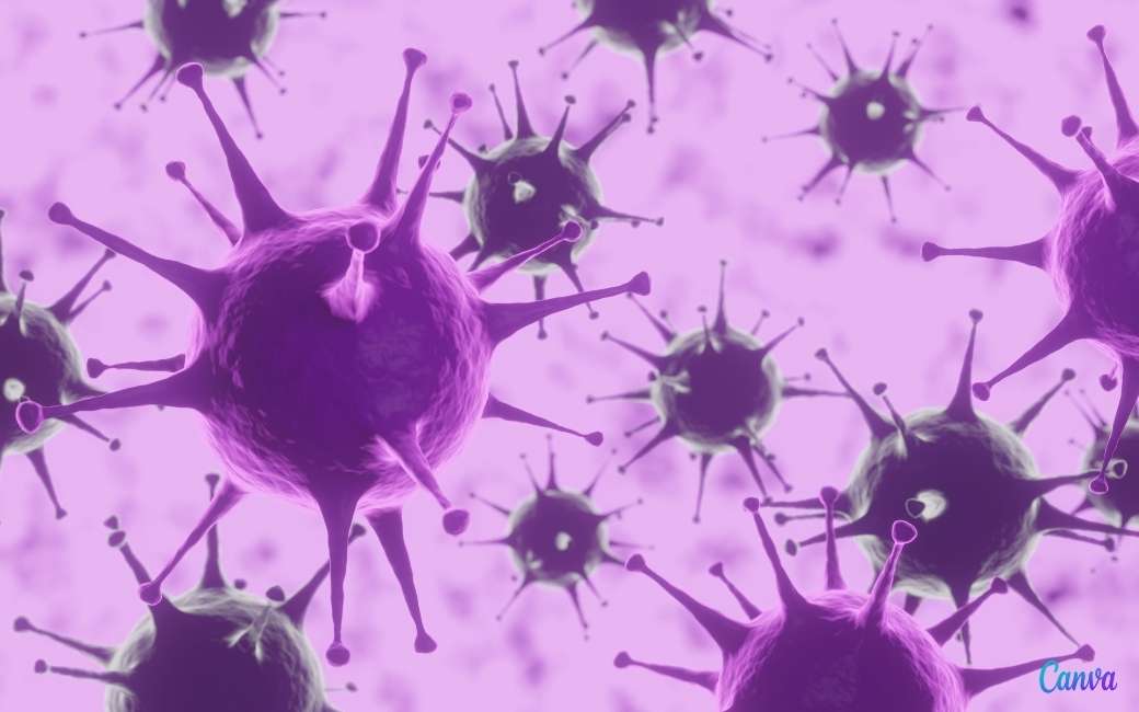 Nieuwe variant van het coronavirus ontdekt in Galicië