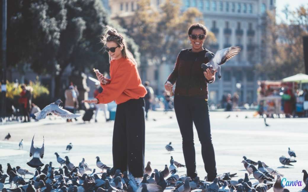 Barcelona heeft een overpopulatie van meer dan 103.000 duiven in de stad