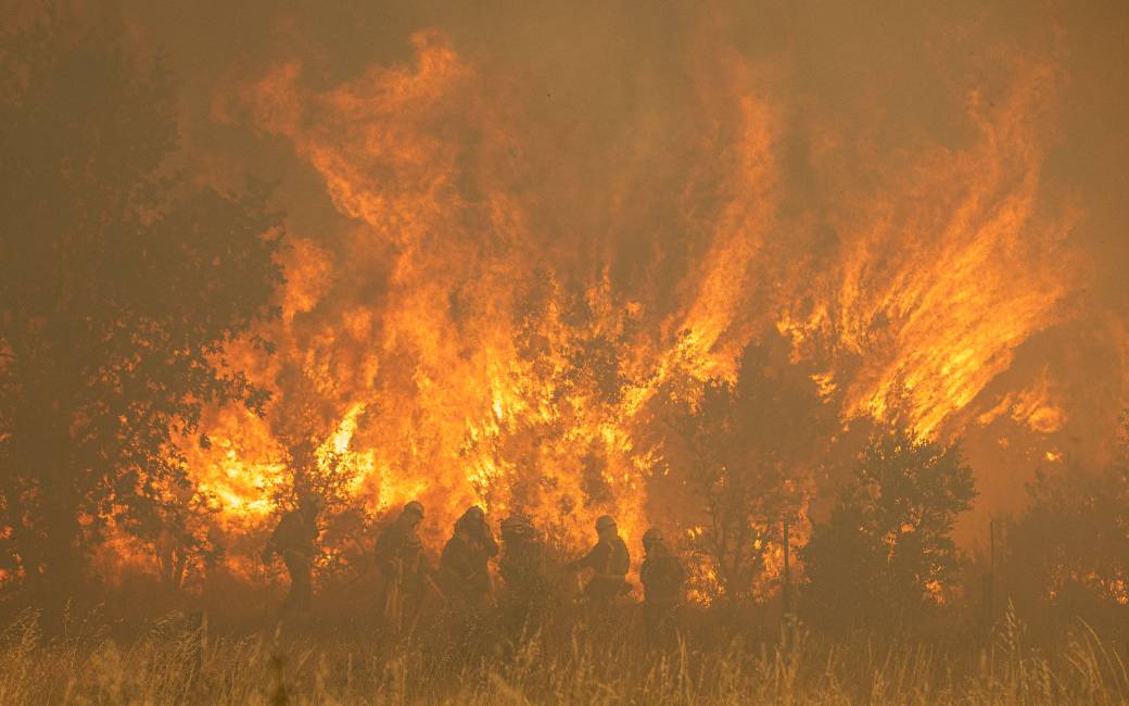 Natuur- en bosbrand Zamora grootste van de afgelopen 10 jaar met 25.000 ha natuur verwoest