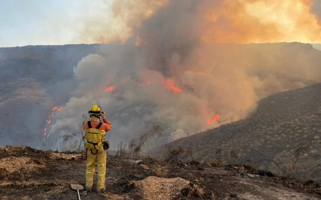 Bosbrand Zaragoza veroorzaakt door Nederlands herbebossingsbedrijf