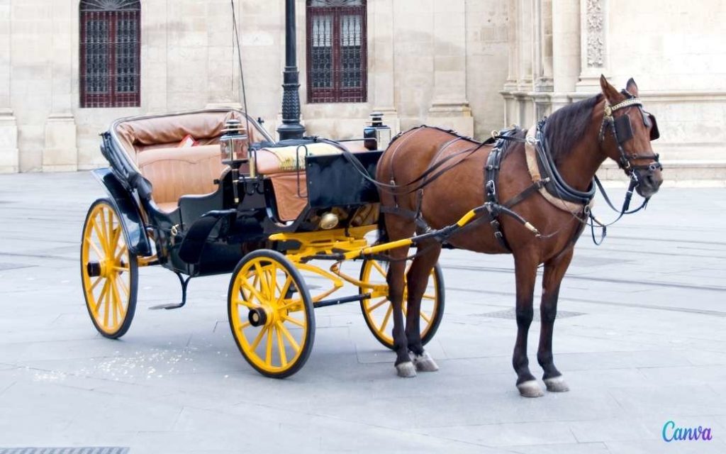 Paard valt flauw maar toeristen blijven in kar zitten in Palma de Mallorca