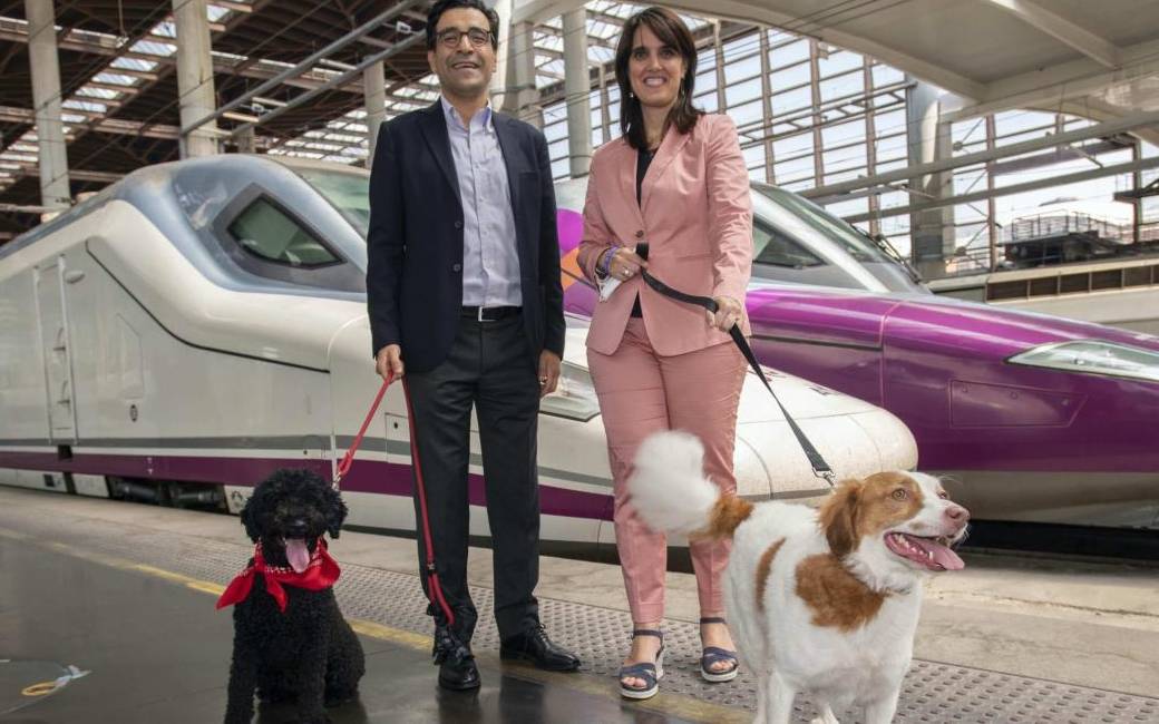 Spaanse spoorwegmaatschappij Renfe opent de deur voor honden tot 40 kilo
