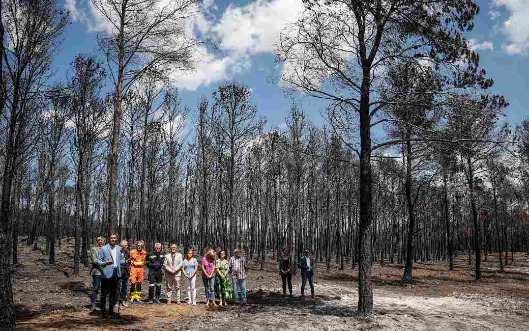 Video gemaakt met drone laat door bosbrand getroffen gebied aan de Costa Blanca zien