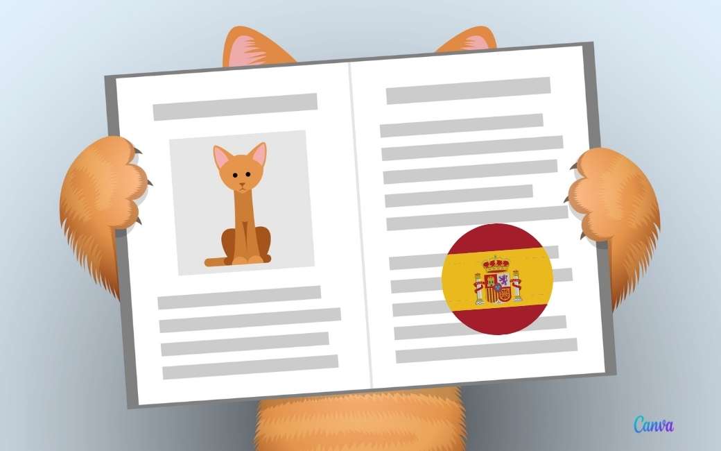Vanaf 2023 moeten honden en katten wellicht een identiteitskaart hebben in Spanje