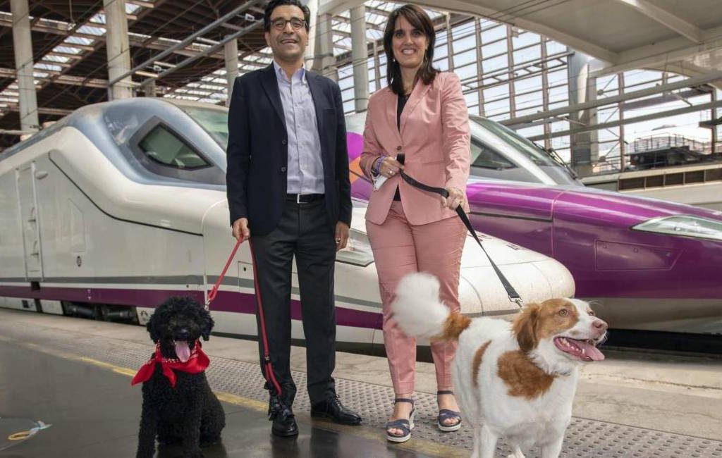 Spaanse spoorwegmaatschappij Renfe staat reizen met honden tot 40 kilo toe