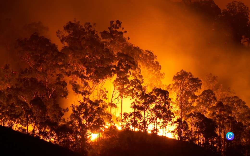 Natuur- en bosbranden hebben 267.939 hectare natuur verwoest in Spanje in 2022