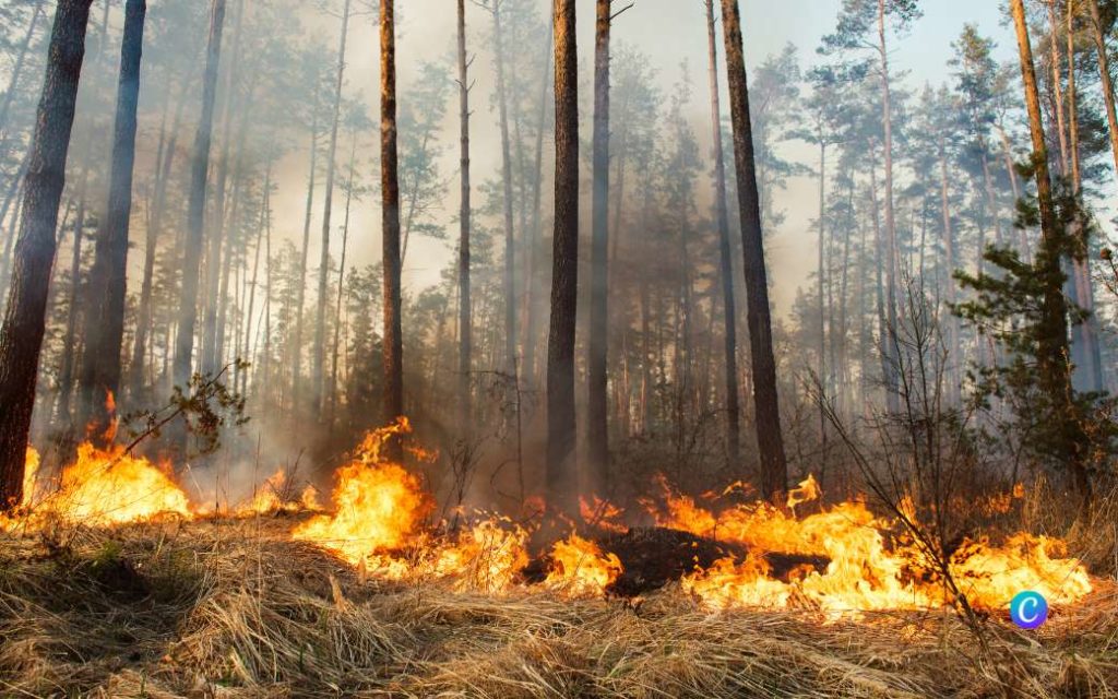 1.600+ evacués en 1.000+ hectare natuur verwoest bij eerste grote bosbrand in Spanje