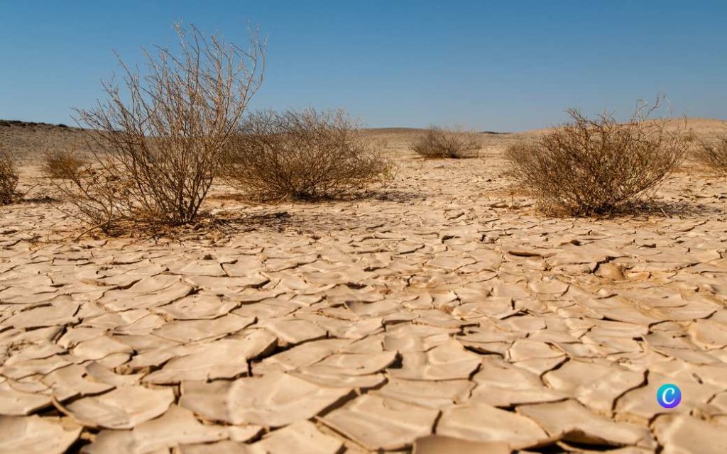 De droogte in Spanje en een cruciale lente: als er geen regen valt, zullen de gevolgen rampzalig zijn