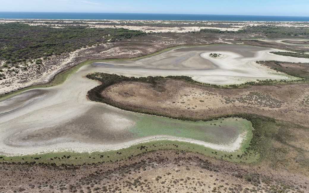 Waarom bevindt het bekende Spaanse natuurpark Doñana zich in kritieke toestand?