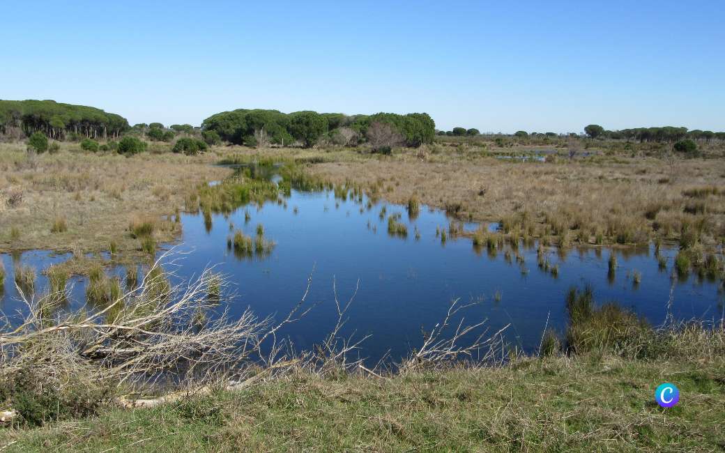 UNESCO waarschuwt dat natuurpark Doñana haar status als Werelderfgoed kan verliezen door Irrigatiewet Andalusië.