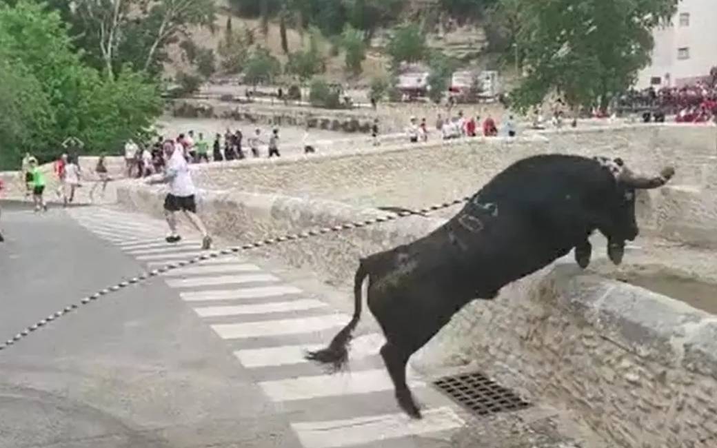 Stier springt over muur en valt van 15 meter hoog tijdens dorpsfeest Valencia