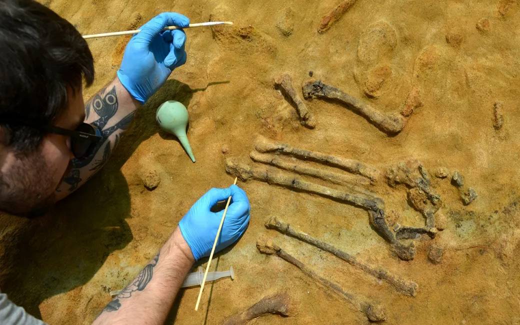 Skelet van drie miljoen jaar oude watervogel gevonden in Girona