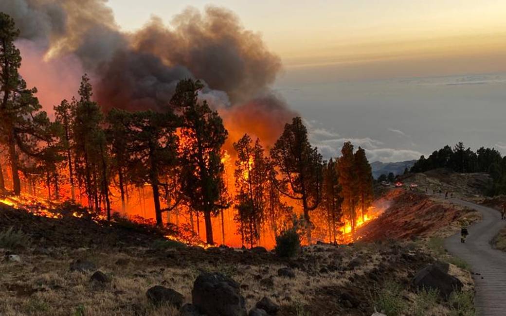 Bosbrand La Palma met meer dan 4.000 geëvacueerden en 5.000 ha verwoeste natuur