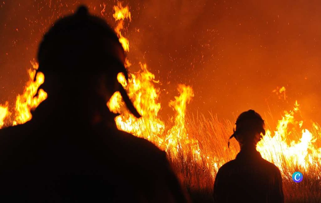Bosbrand op Tenerife met vier geëvacueerde dorpen en 300 hectare verwoeste natuur