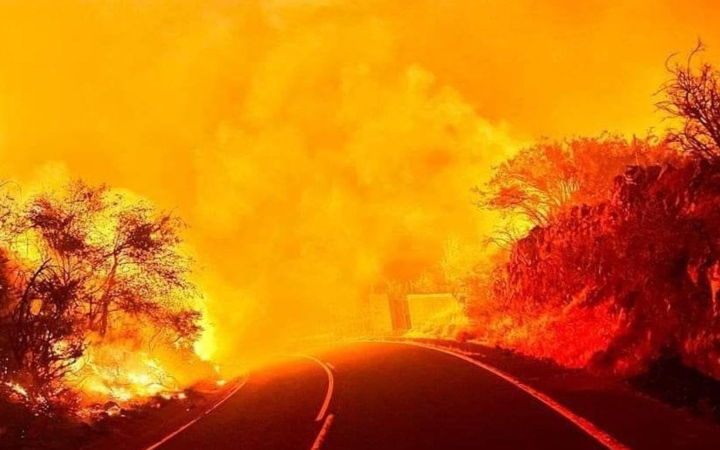 Bosbrand Tenerife heeft nu al ongecontroleerd meer dan 2.600 hectare natuur vernietigd