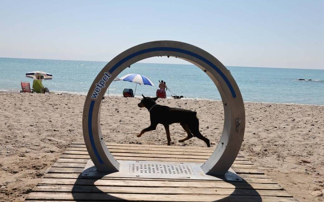 Het Moncofa hondenstrand in Castellon heeft nieuwe douche speciaal voor dieren