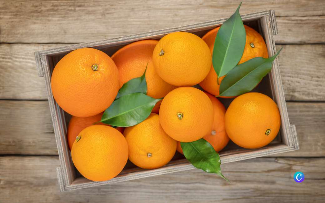 Is Spanje in plaats van Nederland de nieuwe leider in de sinaasappel export?