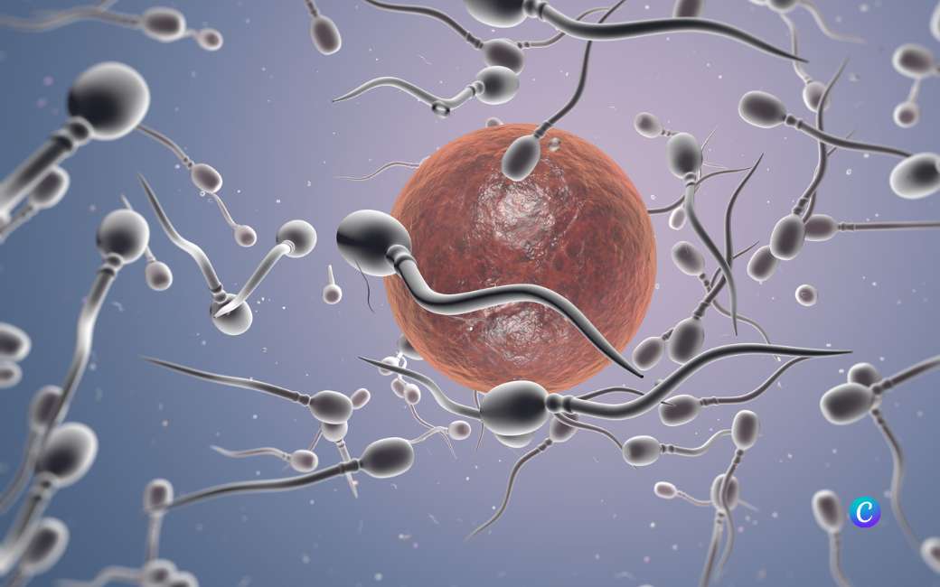 Kwaliteit sperma Spaanse mannen vermindert