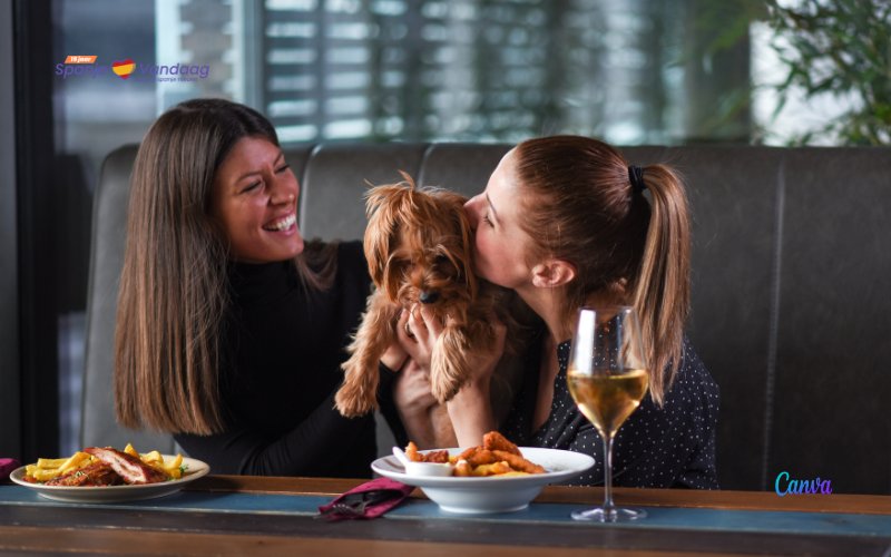 Plaatsen waar honden met nieuwe dierenwelzijnswet naar binnen mogen in Spanje