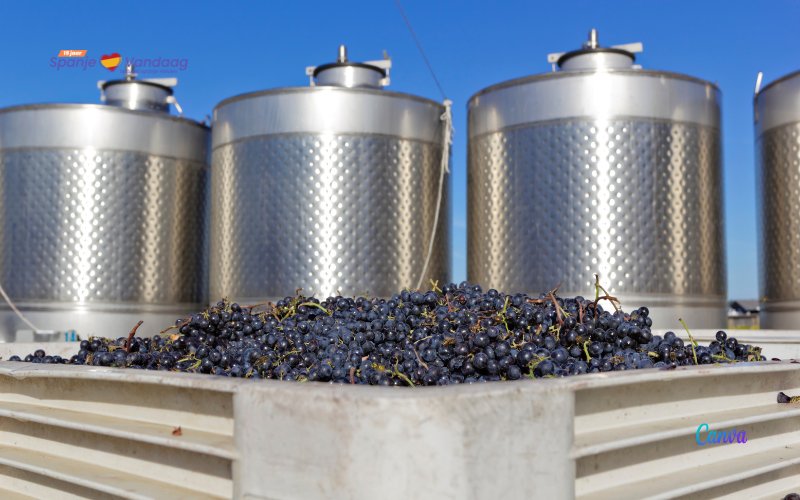 Wijnboeren in La Rioja overleden door koolmonoxidevergiftiging in wijnvat