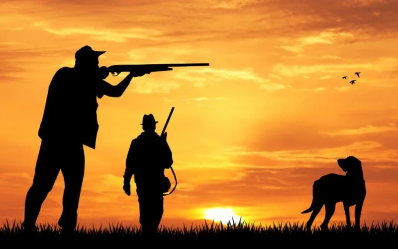 Recordaantal groot wild gedood door Spaanse jagers