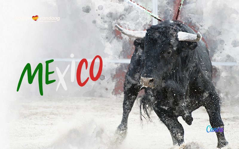 Spanje volgt problematiek in Mexico rond het stierenvechten op de voet