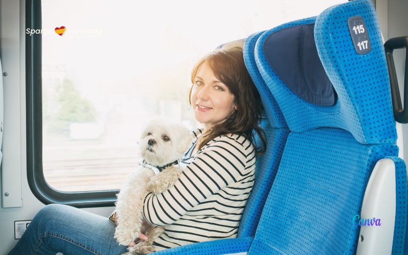 Waar moet je aan voldoen om met je huisdier in de trein te reizen in Spanje?