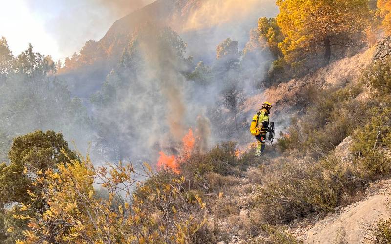 Police arrested the perpetrators of a forest fire on the Costa Blanca