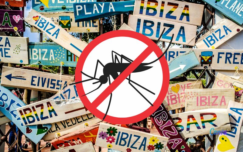 The British press writes about a dengue outbreak in Ibiza