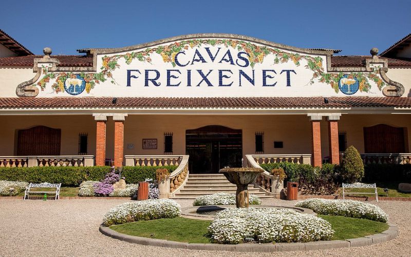 Cava-producent Freixenet geconfronteerd met tekort aan druiven door aanhoudende droogte